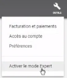 mode expert google ads