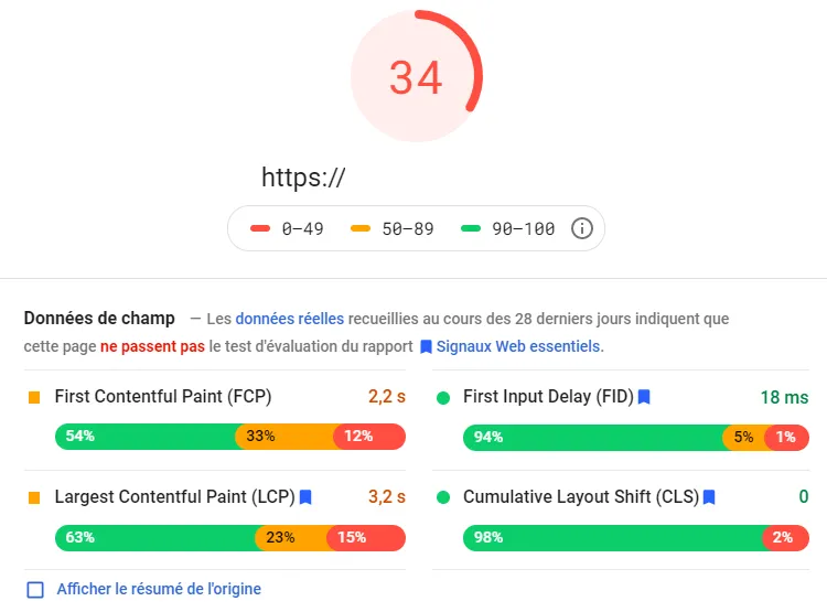 Compte rendu de PageSpeed Insight